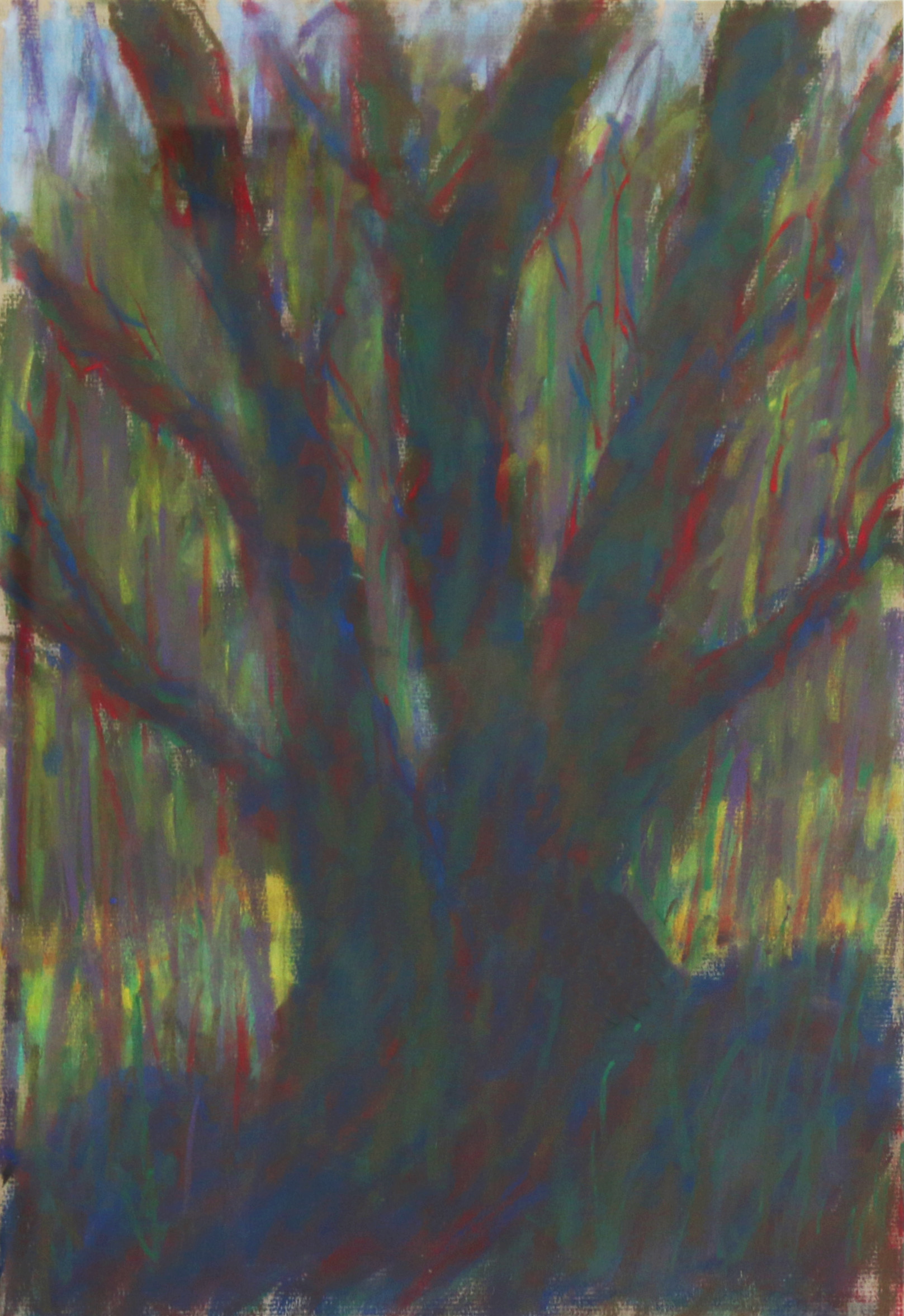 Old Maple Tree by Linn Bruce