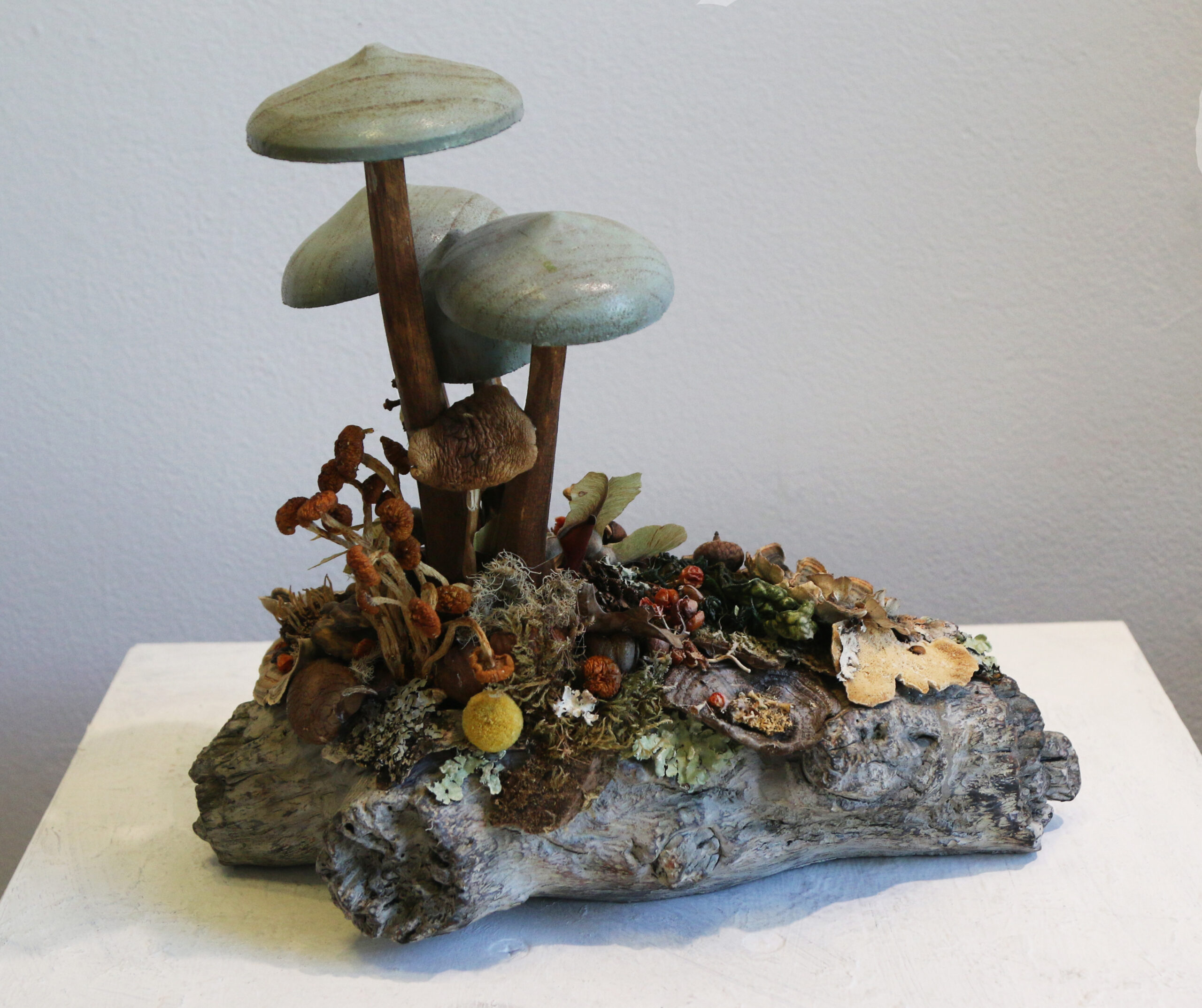 OTW_26_Melinda_Taggard Mold and Mildew by Melinda Taggard