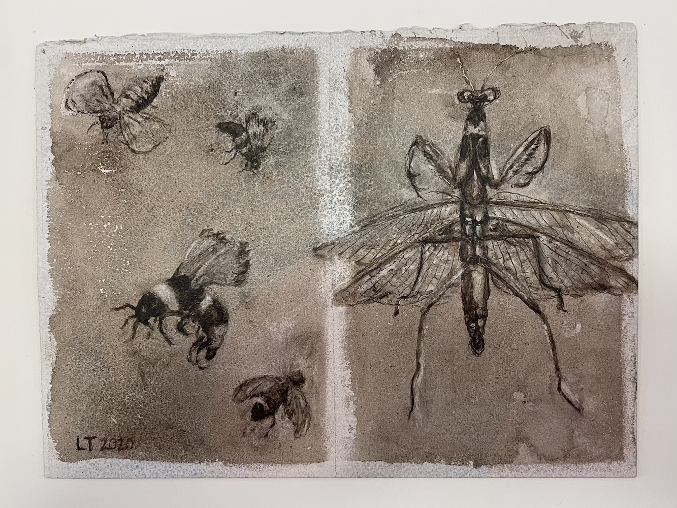 Mantis + Bugs, Walnut Ink Painting by Lydia Thomson