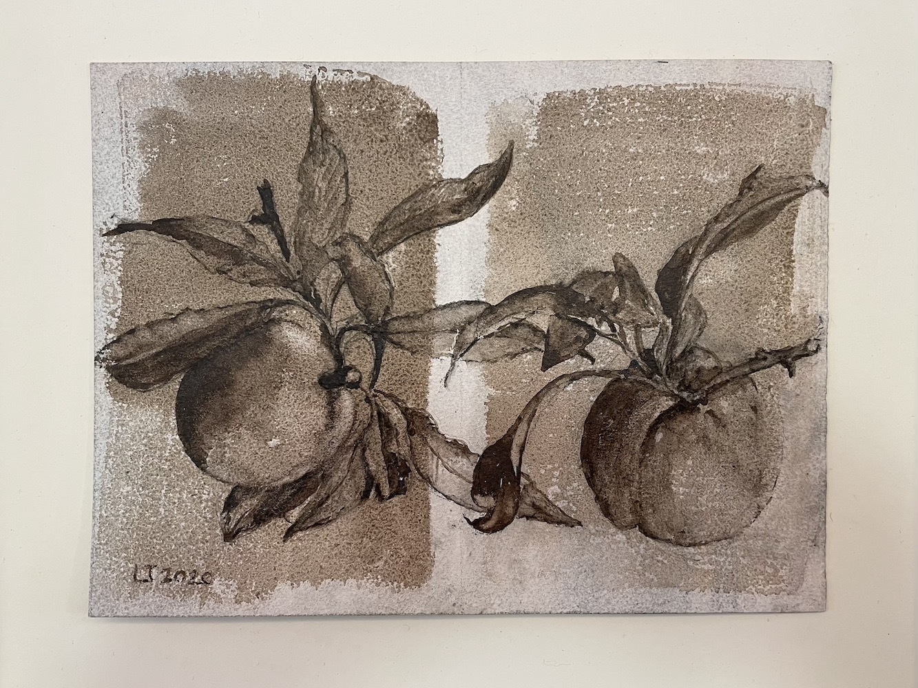 Peaches, Walnut Ink Painting by Lydia Thomson