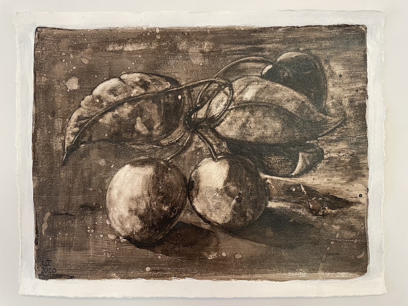 Asian Pears, Walnut Ink Painting by Lydia Thomson
