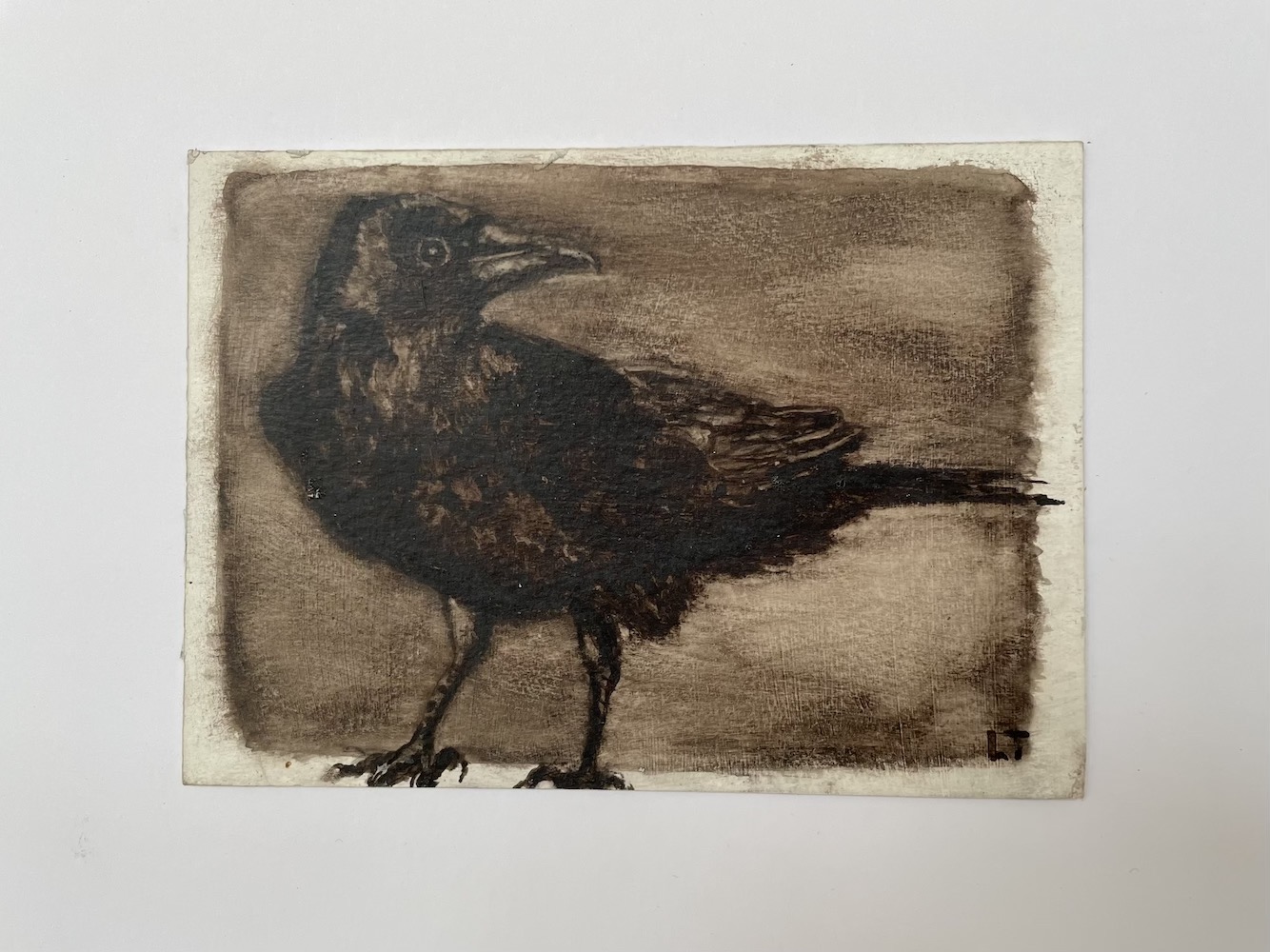 Perky Crow, Walnut Ink Painting by Lydia Thomson