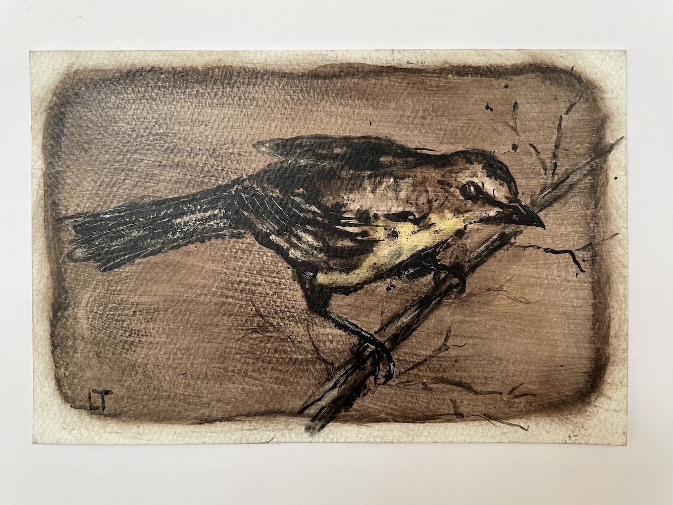 Warbler, India Ink Transfer, Watercolor, and Walnut Ink Painting by Lydia Thomson