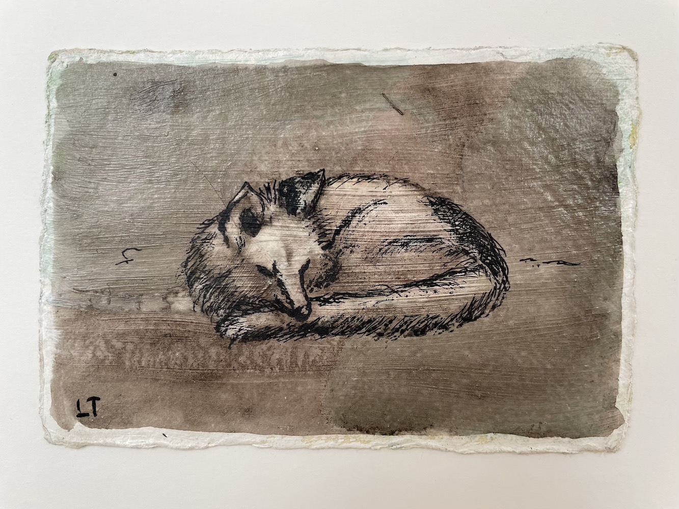 Curled Fox, India InkTransfer and Walnut Ink Painting by Lydia Thomson