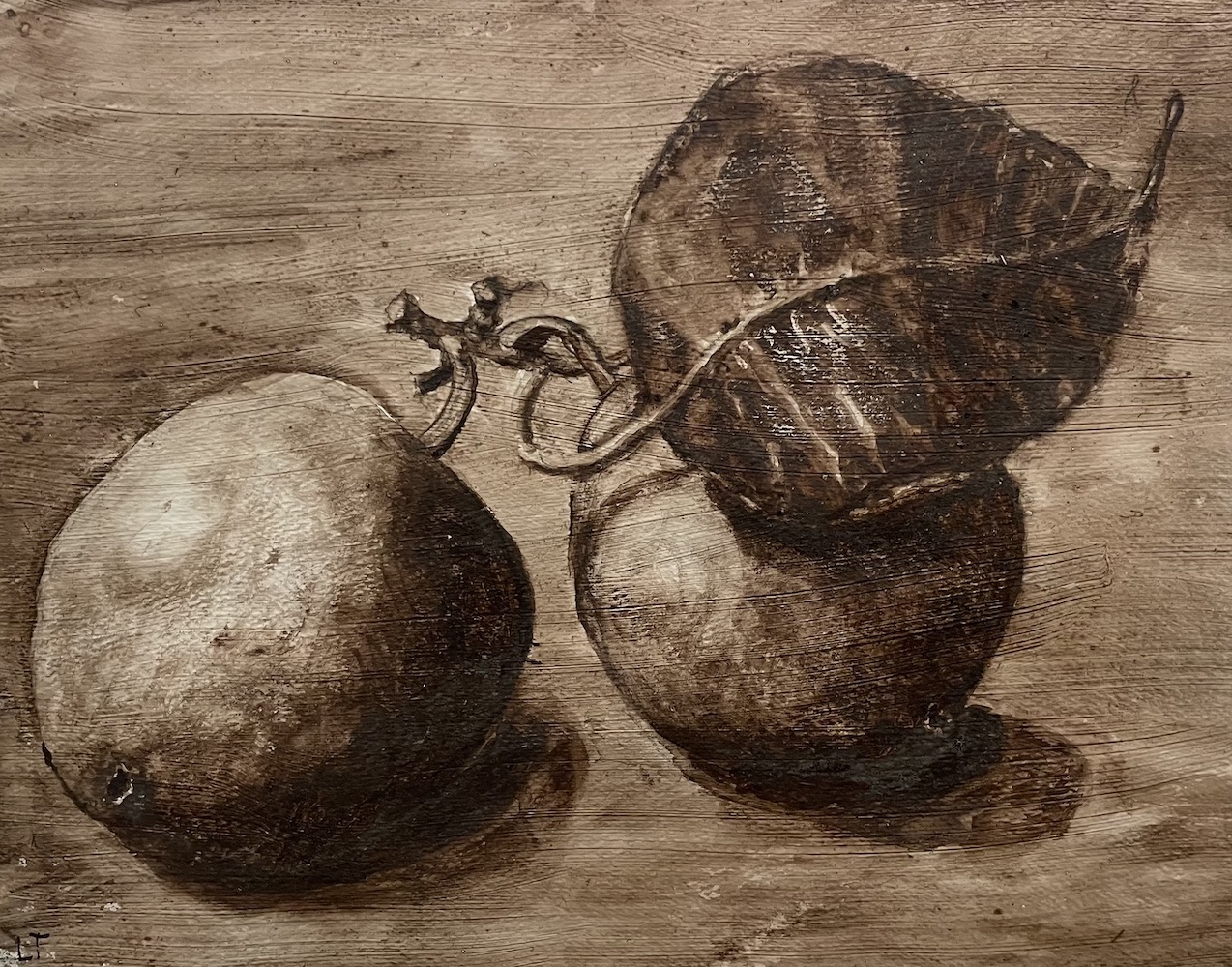 Two Asian Pears, Walnut Ink Painting by Lydia Thomson