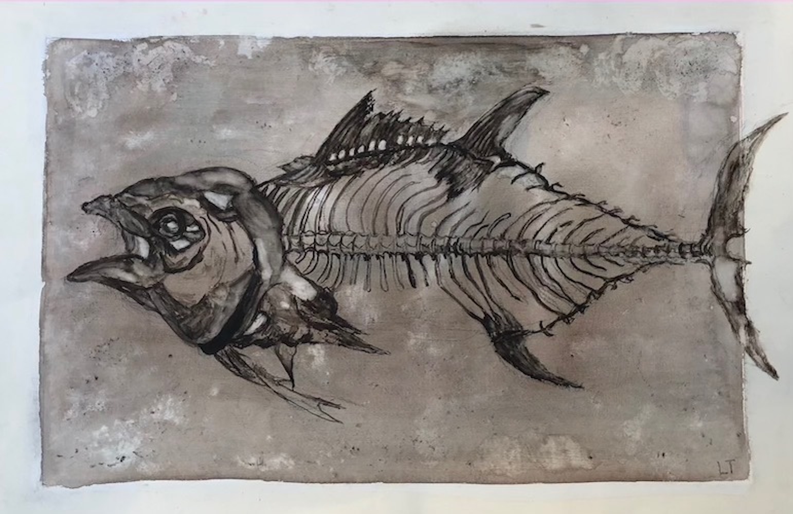 TunaSkeleton, Walnut Ink Painting by Lydia Thomson