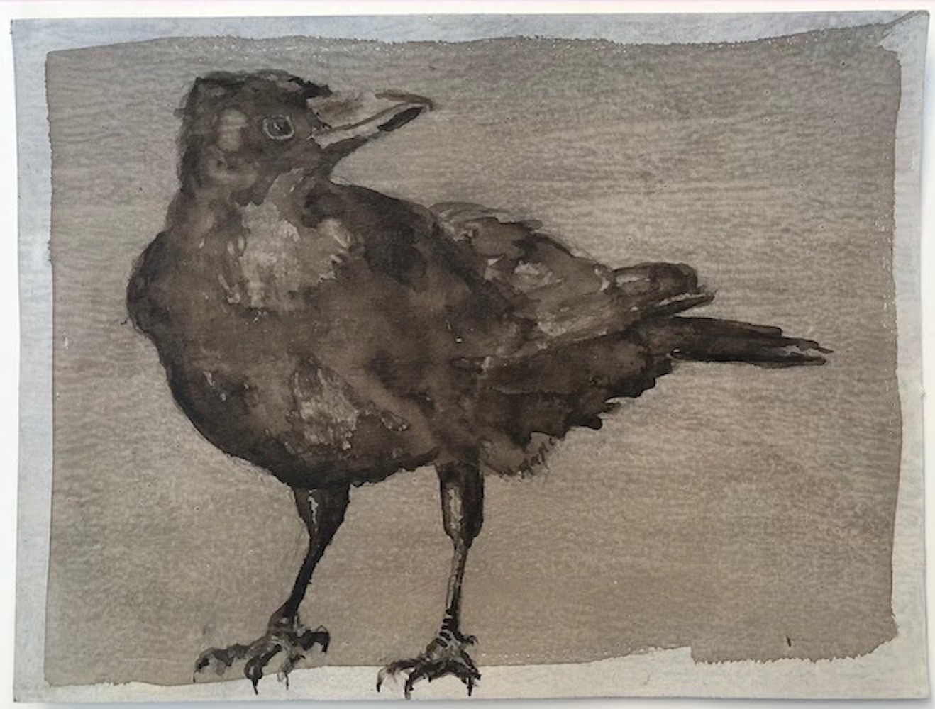 Crow, Walnut Ink Painting by Lydia Thomson