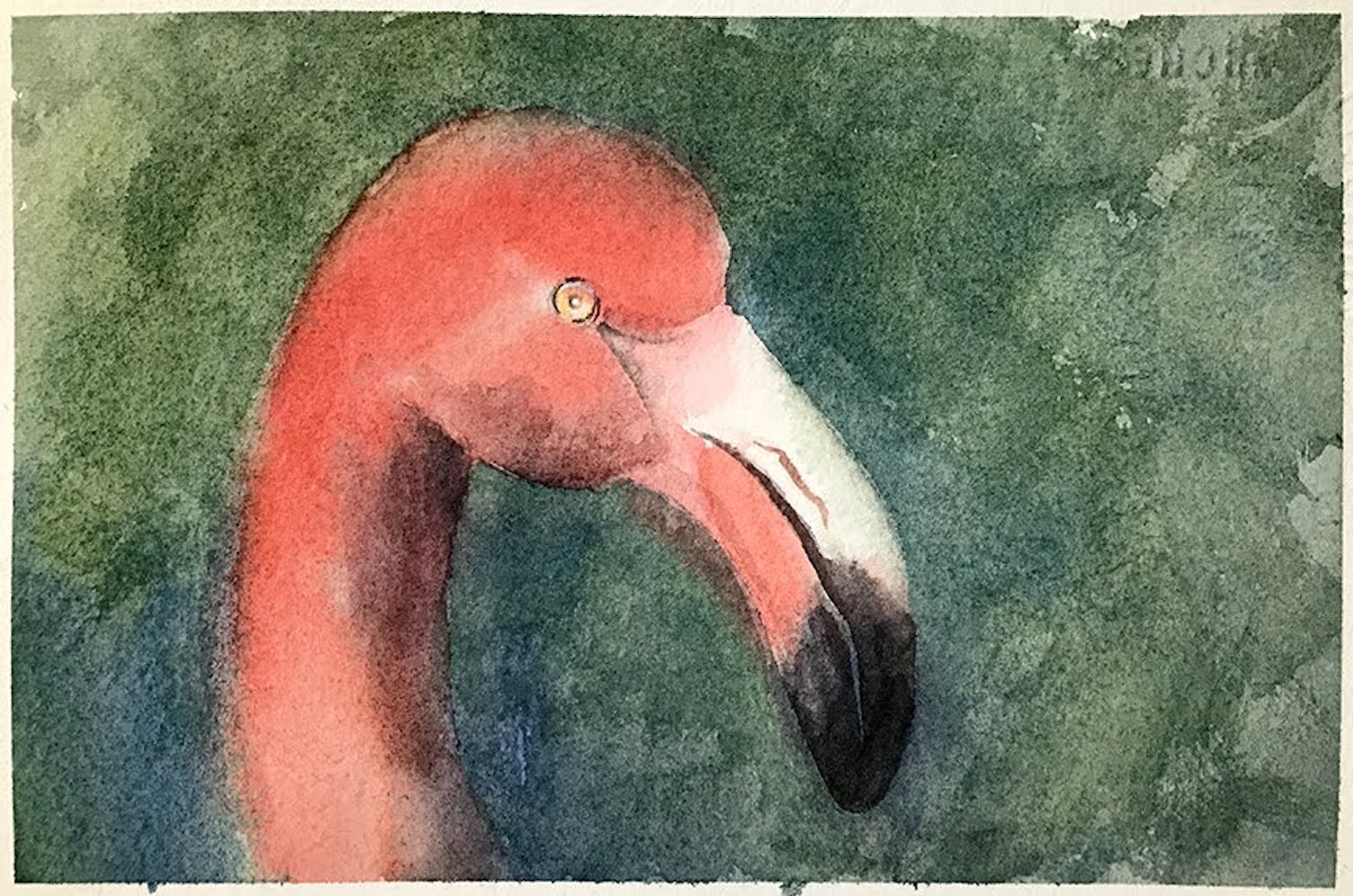 Watercolor Flamingo by Lynn ZImmerman