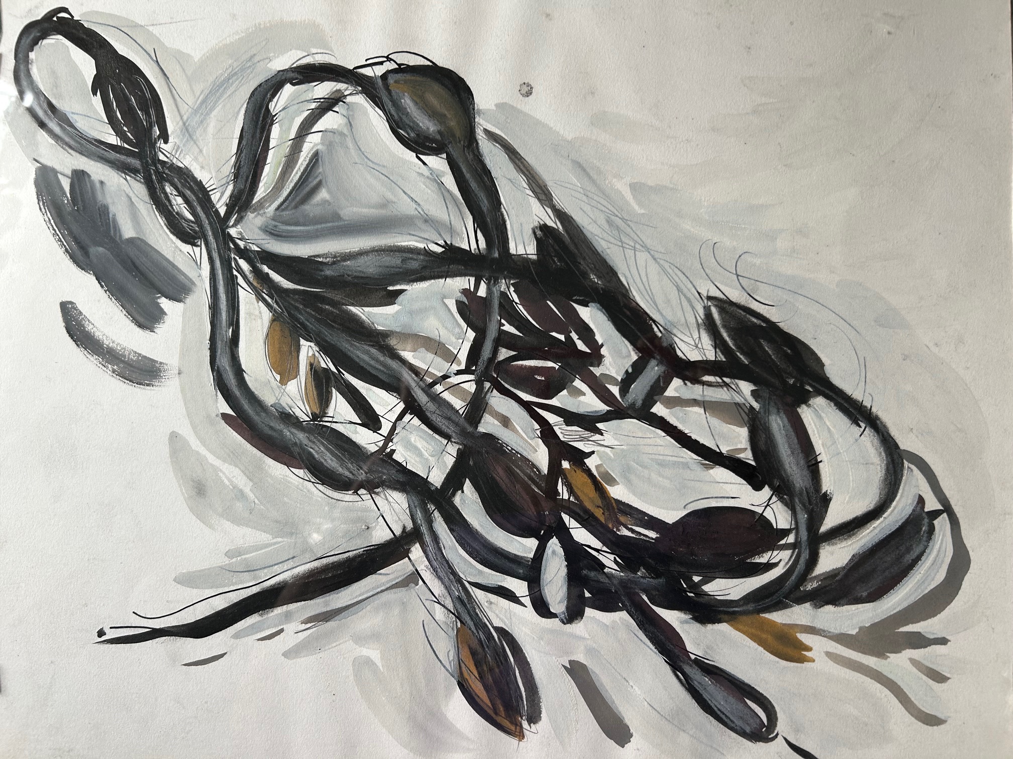 Seaweed by Terry Sylvester